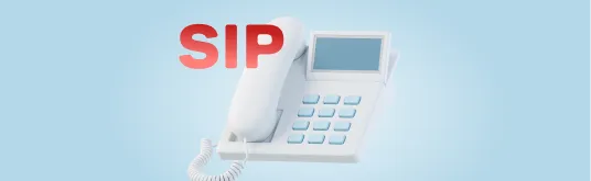 Виртуальный номер